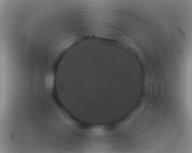 X0000114160076200910151616