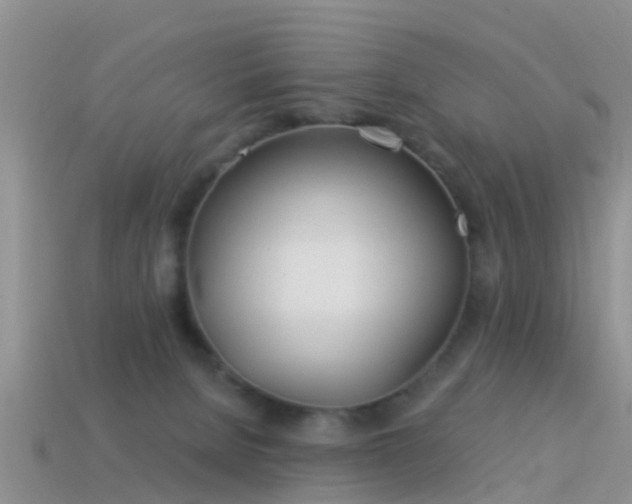 X0000114160080200910151617