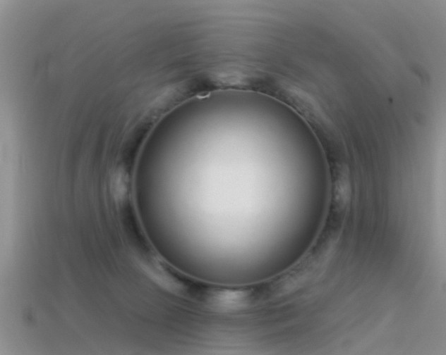 X0000114160081200910151617