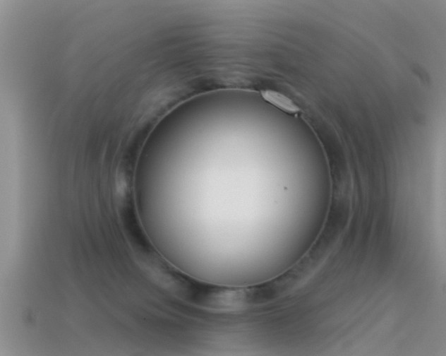 X0000114160084200910151617