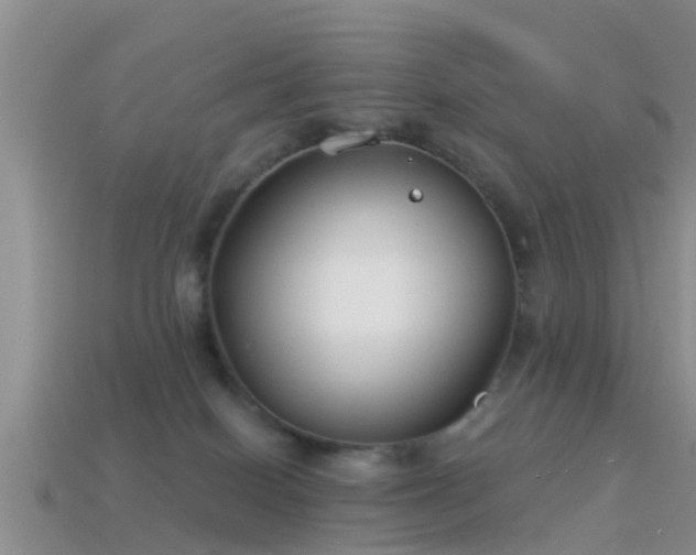 X0000114160086200910151617