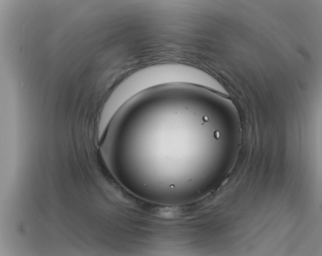 X0000114160088200910151617