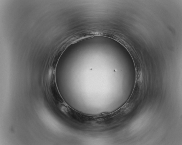 X0000114160095200910151617