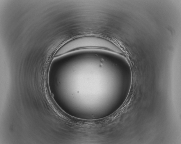 X0000114160097200910151616