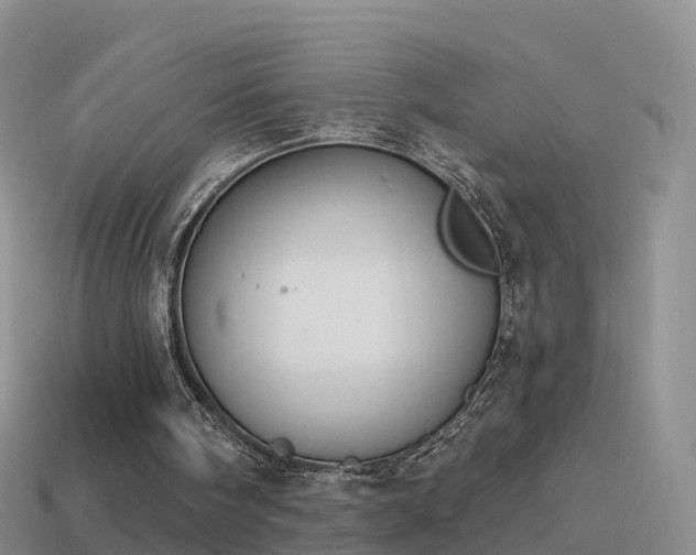 X0000114160098200910151616