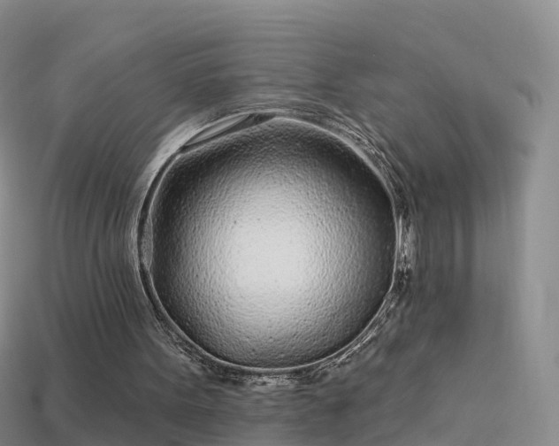 X0000114160099200910151616