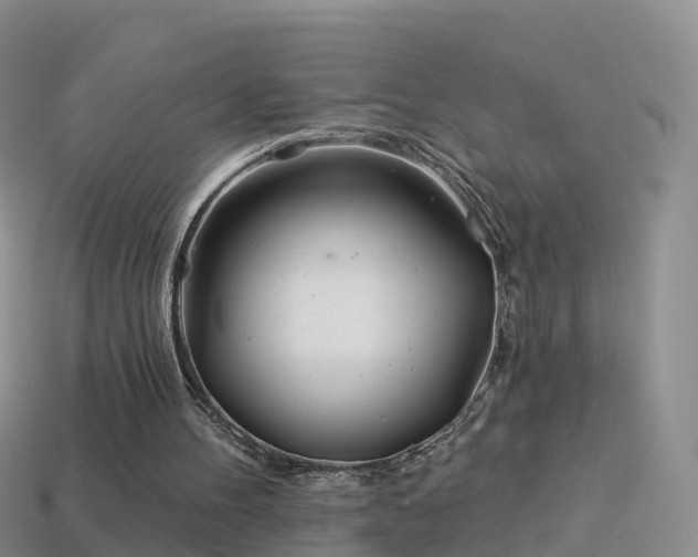 X0000114160100200910151616