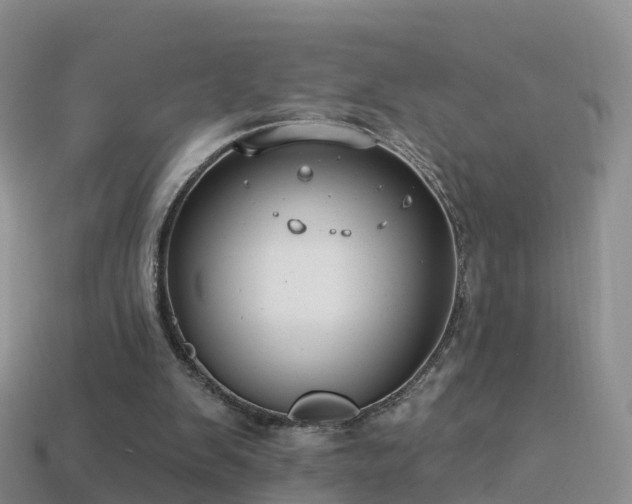 X0000114160103200910151616