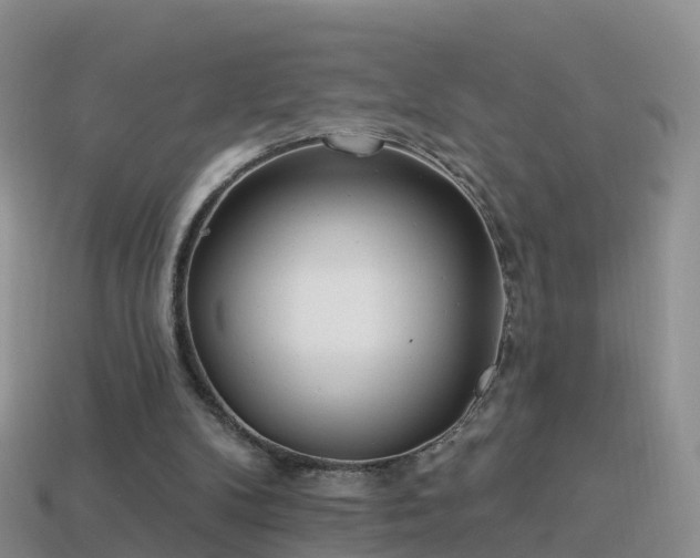 X0000114160104200910151616