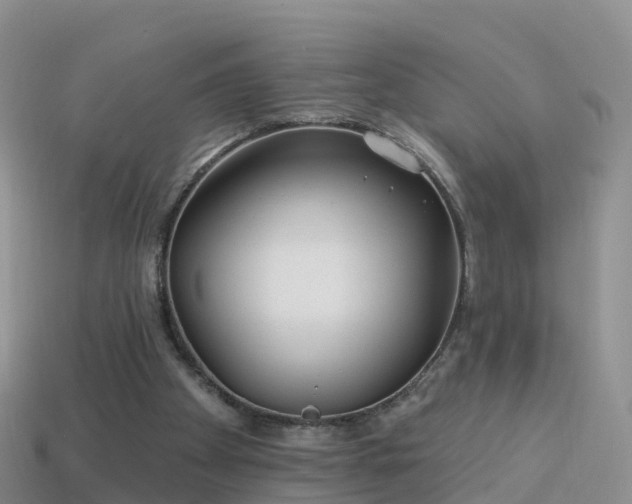 X0000114160105200910151616