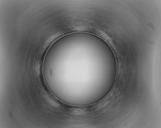 X0000114160106200910151616