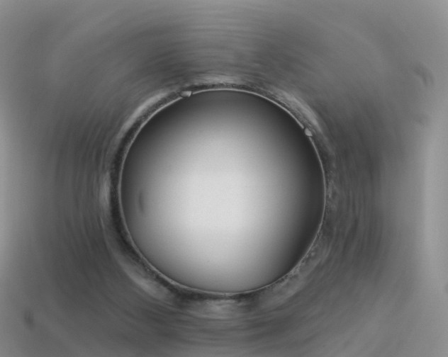 X0000114160108200910151616