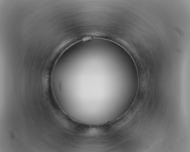 X0000114160111200910151616