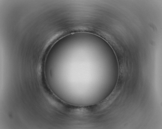 X0000114160112200910151616