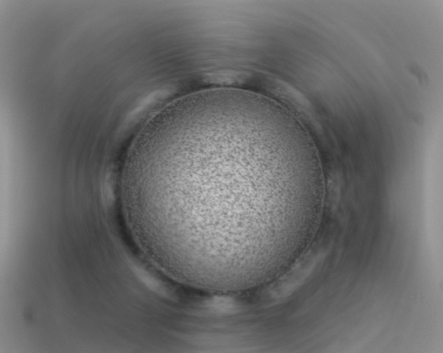 X0000114160114200910151616