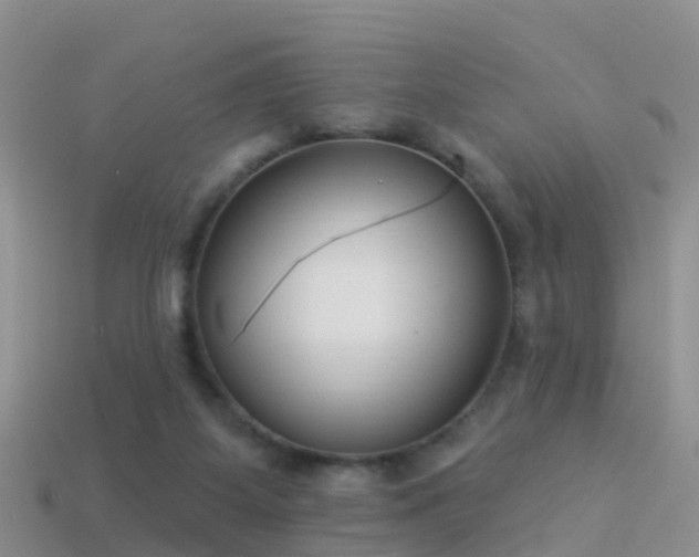 X0000114160115200910151616