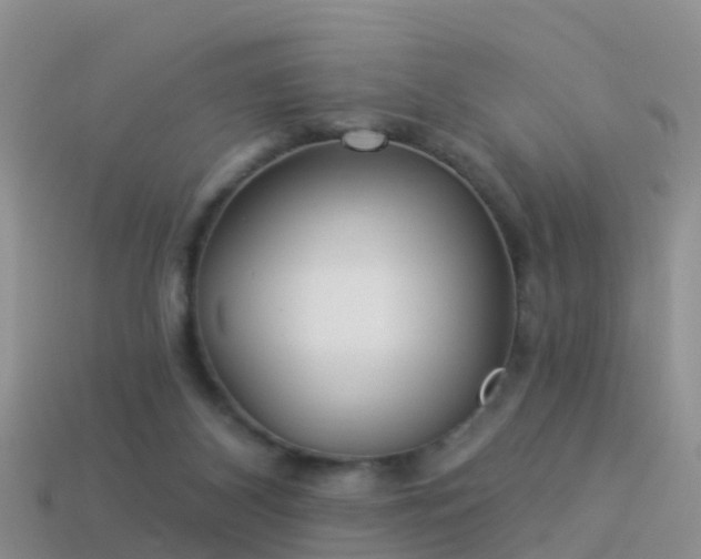 X0000114160116200910151616