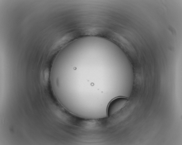 X0000114160118200910151615