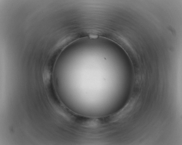 X0000114160124200910151615