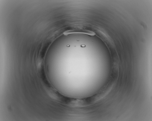 X0000114160125200910151615