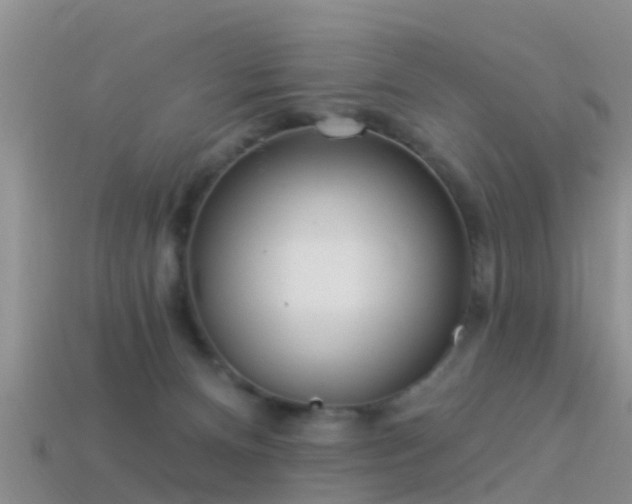 X0000114160128200910151615