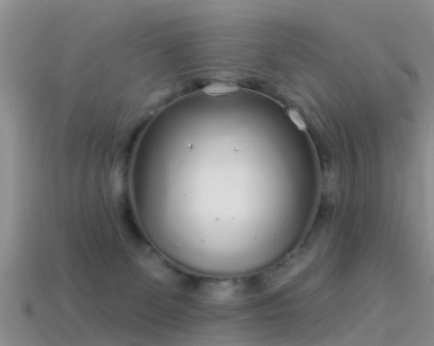 X0000114160131200910151615