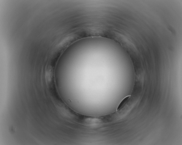 X0000114160133200910151615