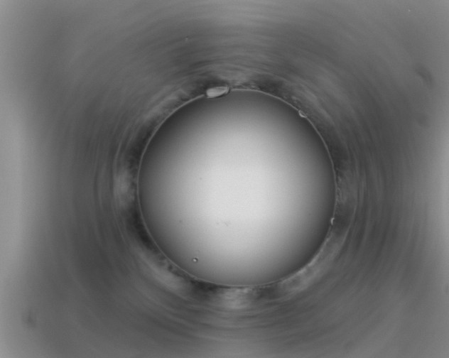 X0000114160136200910151615