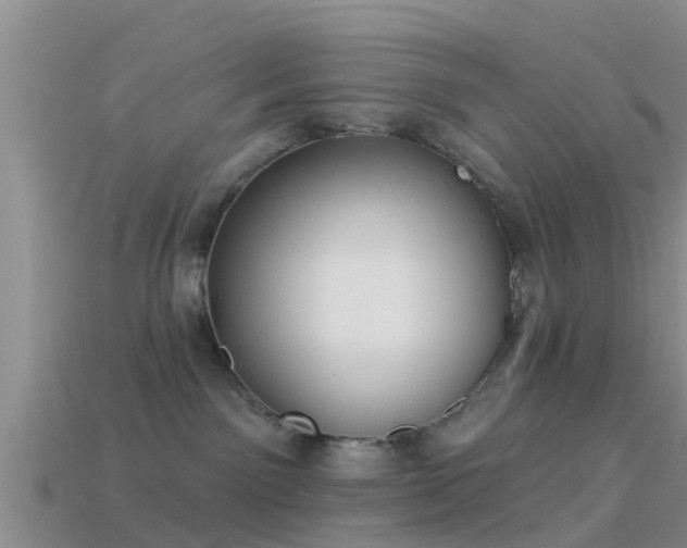 X0000114160141200910151615