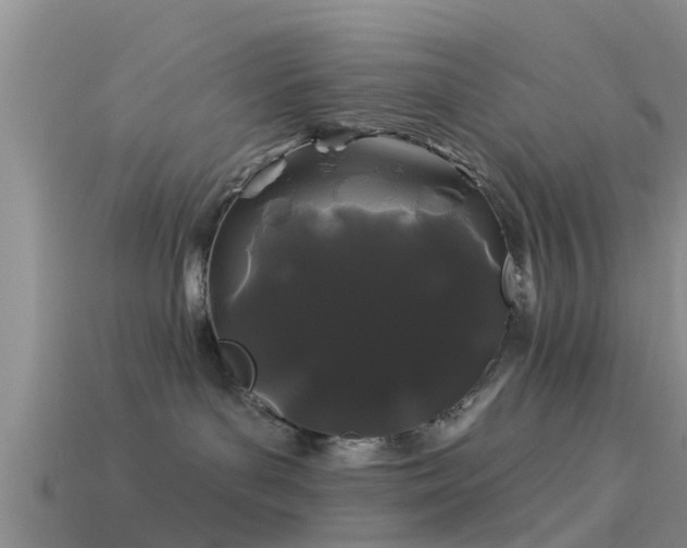 X0000114160143200910151615