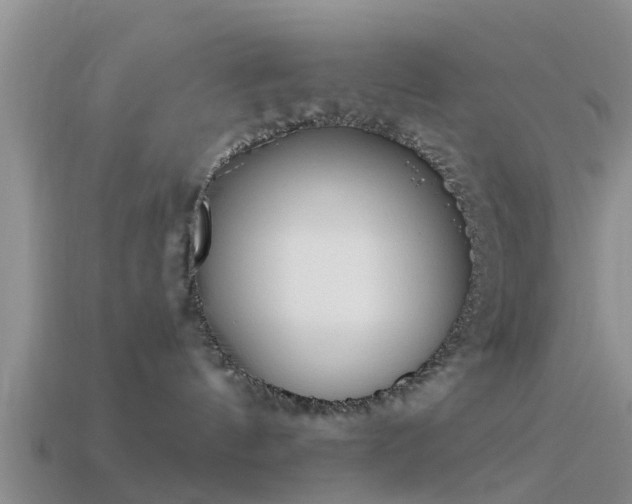 X0000114160144200910151615