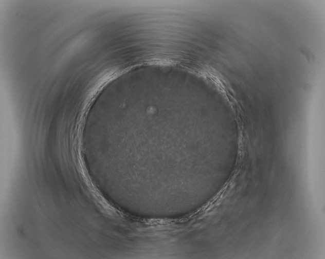 X0000114160145200910151614