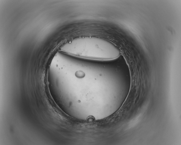 X0000114160146200910151614