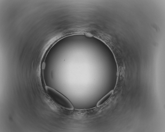 X0000114160148200910151614