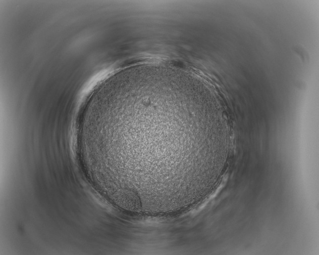 X0000114160149200910151614