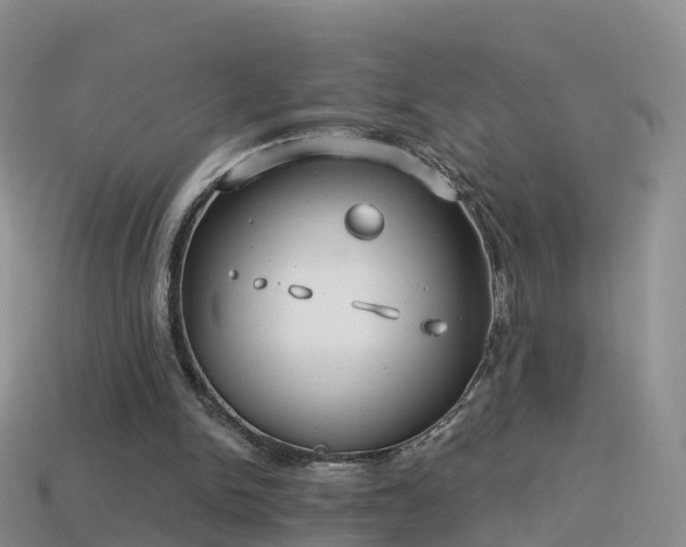 X0000114160150200910151614