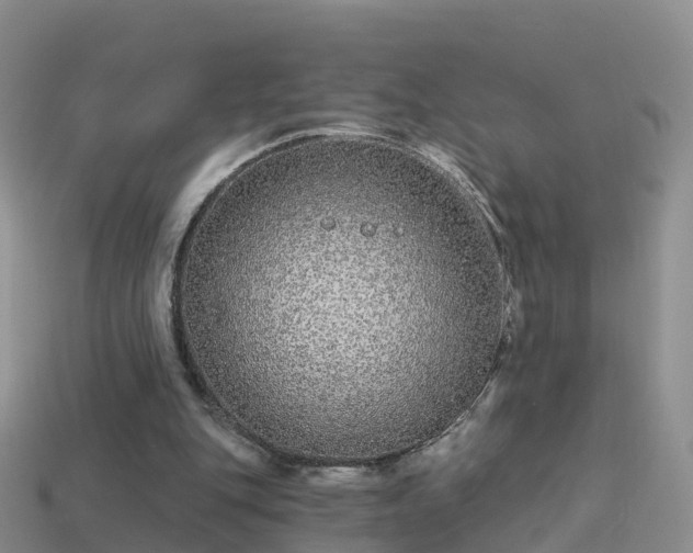 X0000114160151200910151614