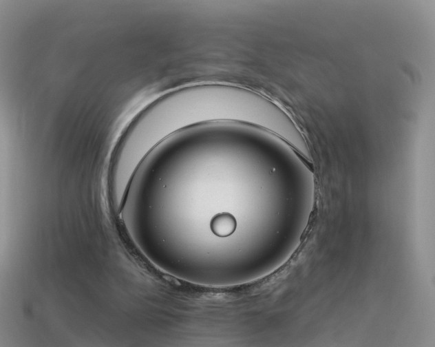 X0000114160152200910151614