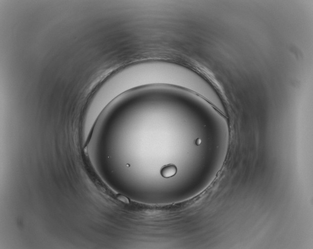 X0000114160154200910151615