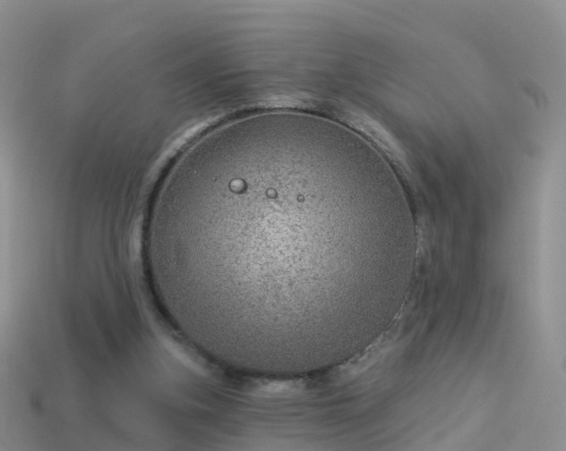 X0000114160155200910151615