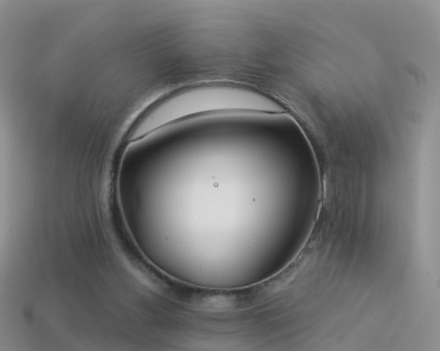 X0000114160156200910151615