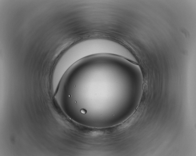 X0000114160158200910151615