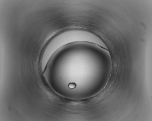 X0000114160160200910151615