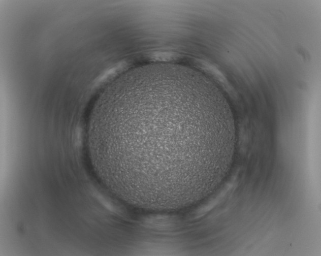 X0000114160161200910151615