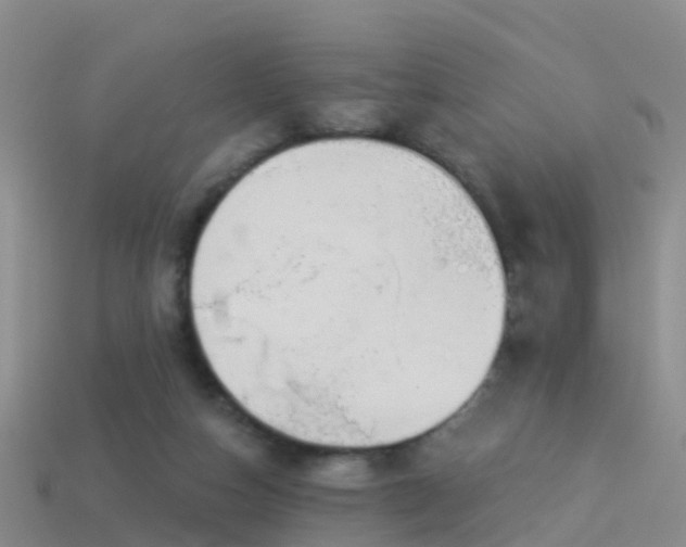 X0000114160162200910151615