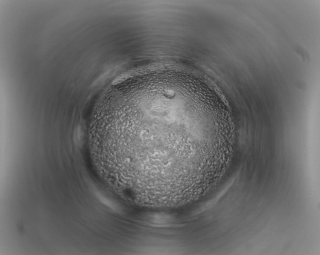 X0000114160165200910151615