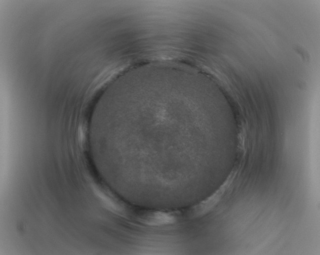 X0000114160166200910151615