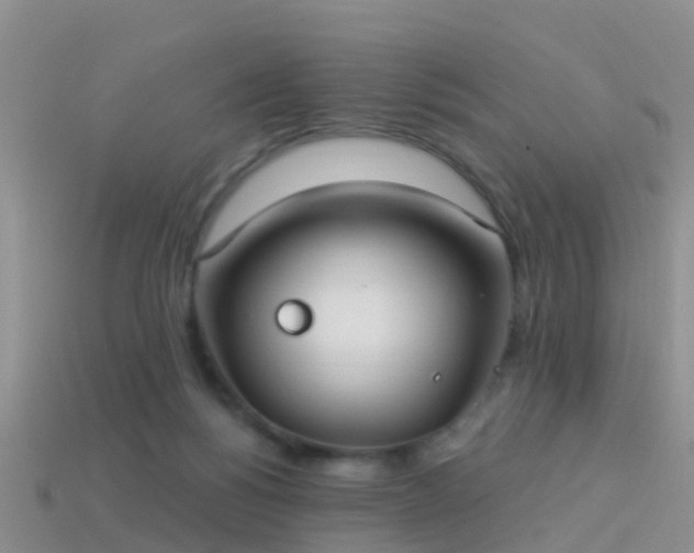 X0000114160168200910151615