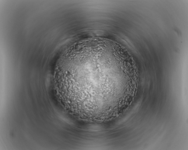 X0000114160169200910151615