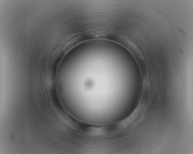 X0000114160170200910151615